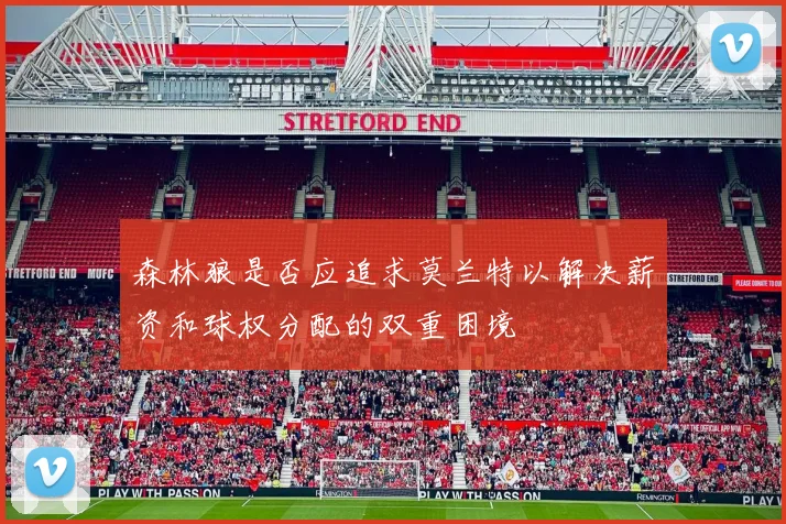森林狼是否应追求莫兰特以解决薪资和球权分配的双重困境