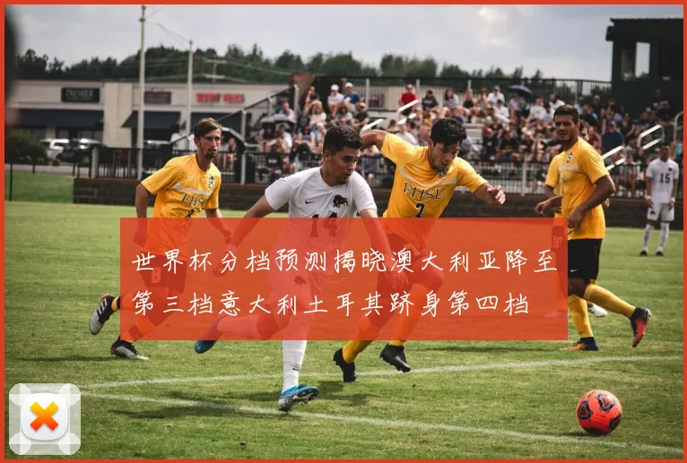 世界杯分档预测揭晓澳大利亚降至第三档意大利土耳其跻身第四档