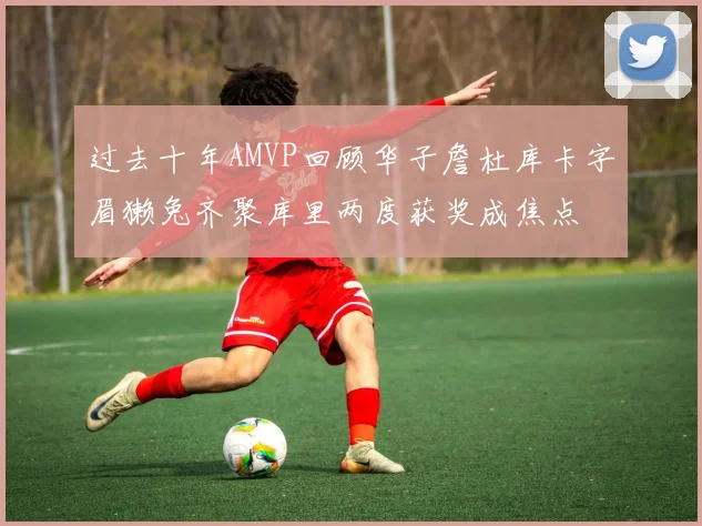 过去十年AMVP回顾华子詹杜库卡字眉獭兔齐聚库里两度获奖成焦点