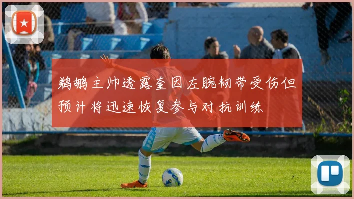 鹈鹕主帅透露奎因左腕韧带受伤但预计将迅速恢复参与对抗训练